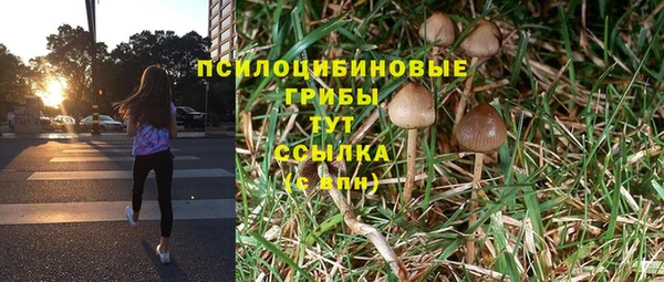 кристаллы Лагань