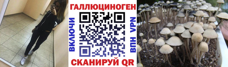 Псилоцибиновые грибы Psilocybe  Купить где  Инта 